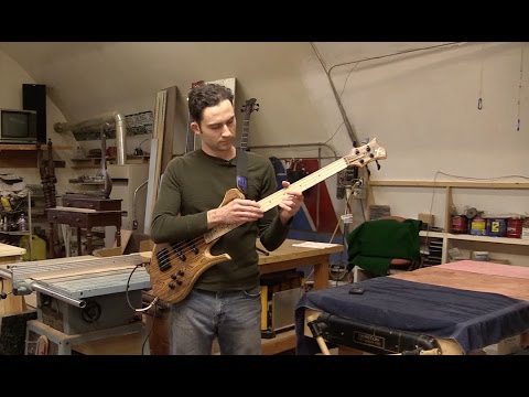 Xylem Bass & Guitars