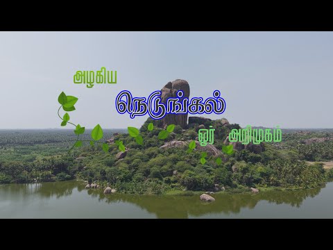 "Nedungal" Beautiful picnic spot near Hosur - நெடுங்கல் ஓசூர் அருகே ஒரு picnic spot!