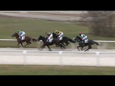 2020.12.27. 04. futam - VIGASZ DÍJ (II.kat.) (szintetikus pálya)