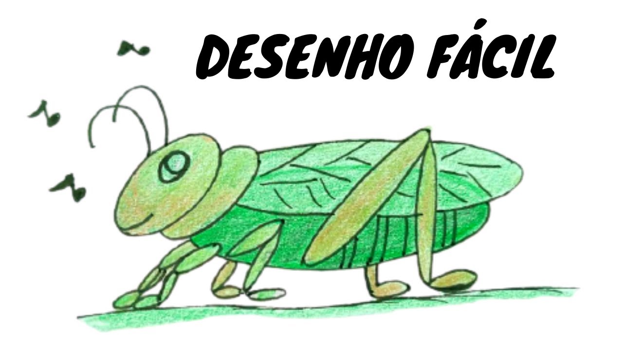 COMO DESENHAR UMA CIGARRA FÁCIL (A CIGARRA E A FORMIGA)