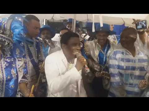 Beija-flor de Nilópolis 2020 - Desfile das Campeãs (24/02/2020)