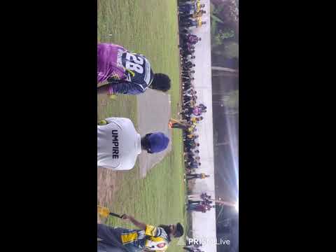 Angry Birds Premier league Semi -2