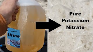 Potassium Nitrate From My Own Pee