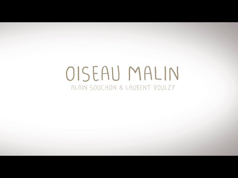 Alain Souchon et Laurent Voulzy - Oiseau malin (Lyrics video)