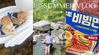[日韓夫婦/한일부부]韓国の渓谷🏊‍♀️ / 계곡에서 물놀이 브이로그