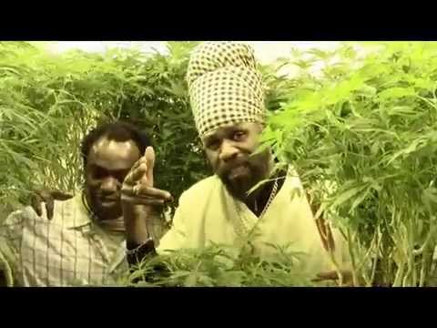 Fitta Warri Just A  Plant Official Video