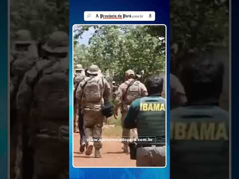 PF e Ibama fecham cinco garimpos ilegas no nordeste do Pará