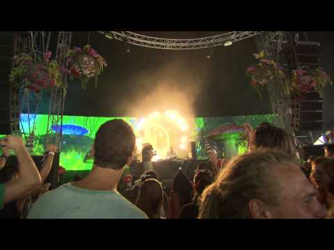 Cari Lekebusch (2) at Tomorrowland 2012