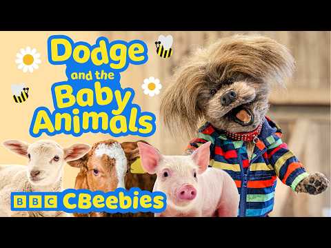 CBeebies House: Baby Animals at the Farm! | Dodge & Friends Explore | CBeebies 🐥 🐑🌾