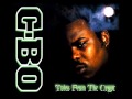 C-Bo - Ain't No Sunshine