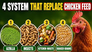 The 4-System Feed Setup That REPLACES Chicken Feed Forever