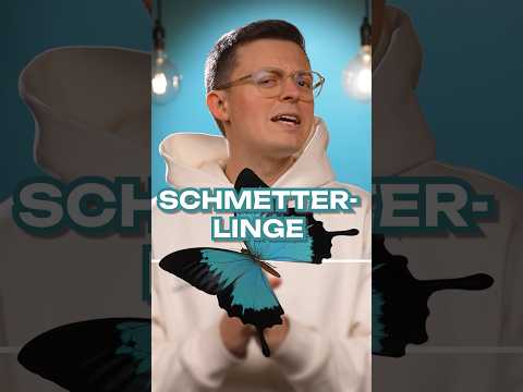 Video Thumbnail: Passend zur Sommerzeit: Können sich Schmetterlinge an ihre Zeit als Raupe erinnern? 🦋🐛
