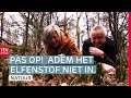 Mysterieus plantje in natuurgebied Wester- en Oosterzand | ROEG! | RTV Drenthe