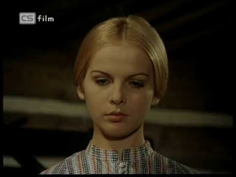 Změny v postavení dělníků v průběhu 19. a na počátku 20. století :: Historie-dch