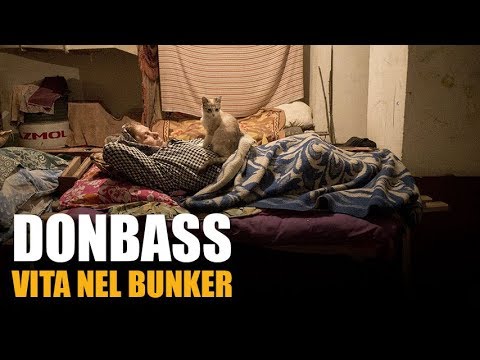 What it's like to live in a bunker