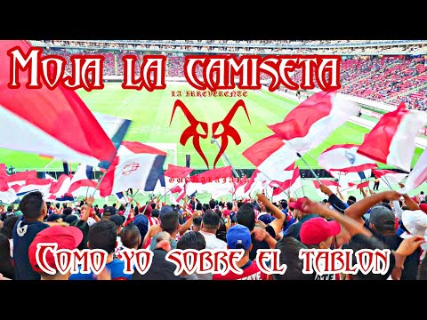 "Moja la Camiseta" Barra: La Irreverente &bull; Club: Chivas Guadalajara