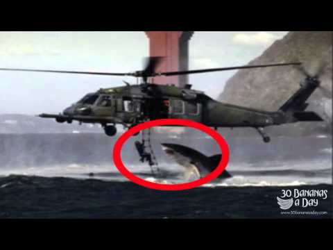 Megalodon Shark Attack Caught On Camera Off Coast of Cambodia : real or fake?