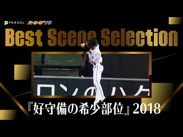 《Best Scene Selection》1年からたった10分しか編集できない…『好守備の希少部位』2018