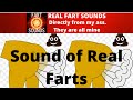 Fart Sound Effect 8 Real Fart