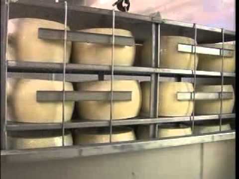 GENOLA: VISITA DEL MINISTRO ANDREA OLIVERO ALLA DITTA ALBERTI LO SPECIALE