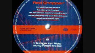 Red Snapper ft  Allison David - Image of You (Salt City Orchestra Remix Dub)