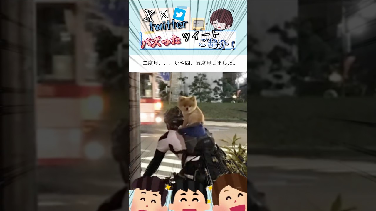 【ﾜﾝ!🐶】バズりすぎた伝説のツイート集！  Part 86  #だいちゃんねる