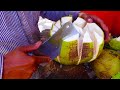 So Satisfying Coconut Cutting Cambodian Street Food 4K