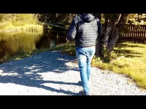 Olli näyttää perhosetin kasauksen ja miten heitetään