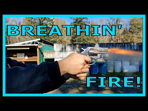 Rock Island Armory AL 3.1 Review