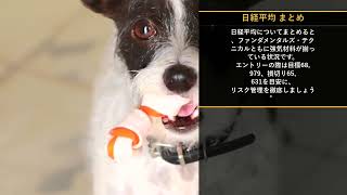 本日の投資注目TOP10【8/11 15:00】