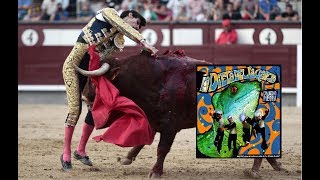 Chancho En Piedra - Cacho (Video Con Ataques De Toros)