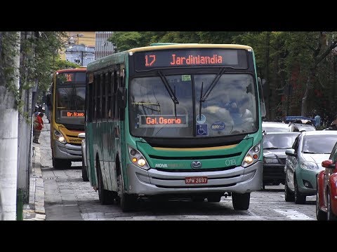 Friburgo: entenda que fim levou o processo de licitação do transporte público