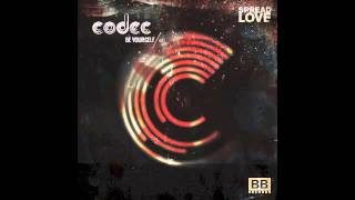 Codec - What You Need