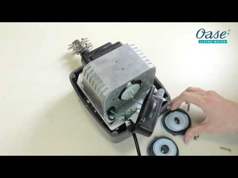 Watch Video on YouTube