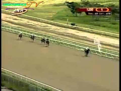 LA RINCONADA 1 CARRERA SABADO 23 DE AGOSTO DEL 2014