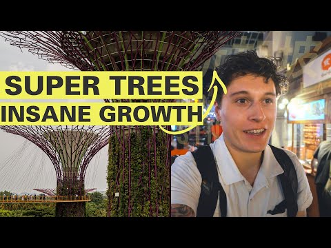 download lagu mp3 mp4 Singapore Garden City, download lagu Singapore Garden City gratis, unduh video klip Singapore Garden City