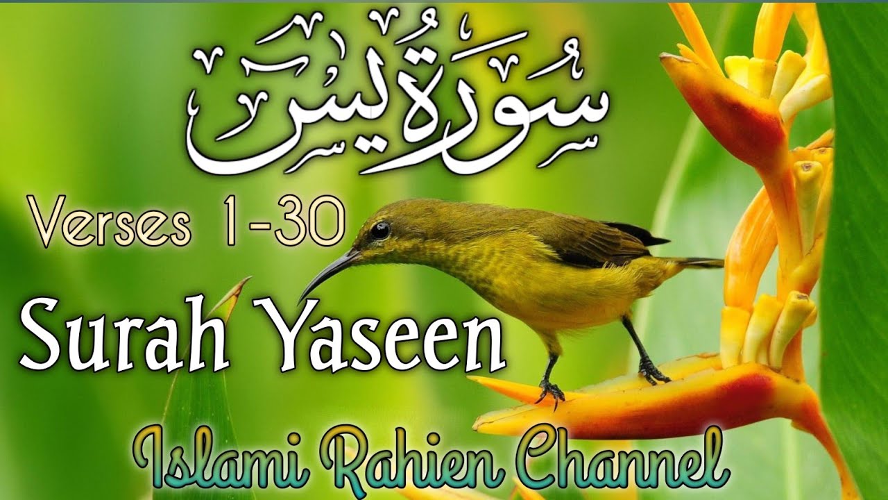 Surah Yasin(Yaseen) 1-30 | With Arabia | Beautiful recitation| یس سورہ36