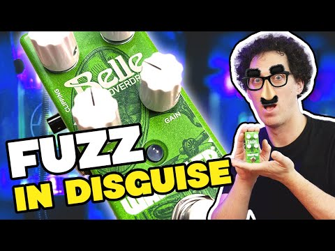 I did not expect THIS tone! || (Wampler Belle Overdrive Review)