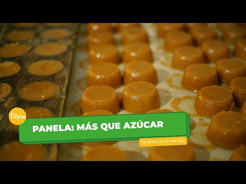 Panela: Más que Azúcar - TvAgro por Juan Gonzalo Angel Restrepo