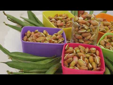 Unlock the Power of Lentils:  7 Surprising Health Benefits