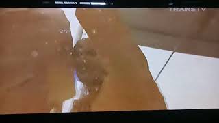 Download lagu Iklan Marcopolo - Adventure (2015) mp3 Download lagu Iklan Marcopolo - Adventure (2015) mp3