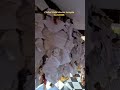 Golu Devta Mandir Almora Chitai Golu Devta Ghorakhal Nainital Golu Devta Kumaon Golu Devta