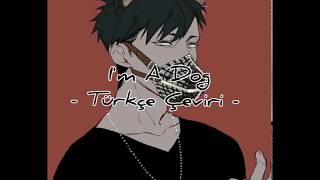 D. Brown - I&#39;m A Dog (Türkçe Çeviri)