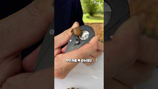 시가가 나락갔던 이유