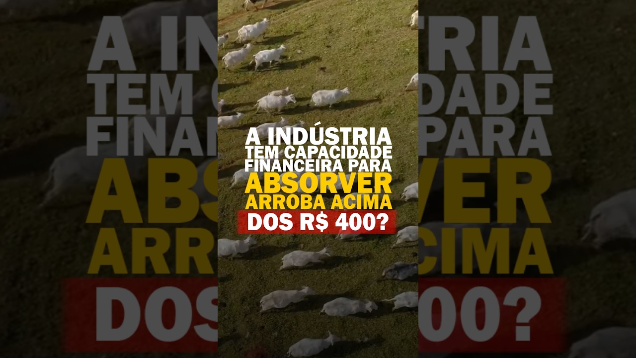 A INDÚSTRIA TEM CAPACIDADE FINANCEIRA PARA ABSORVER ARROBA ACIMA DOS R$ 400?