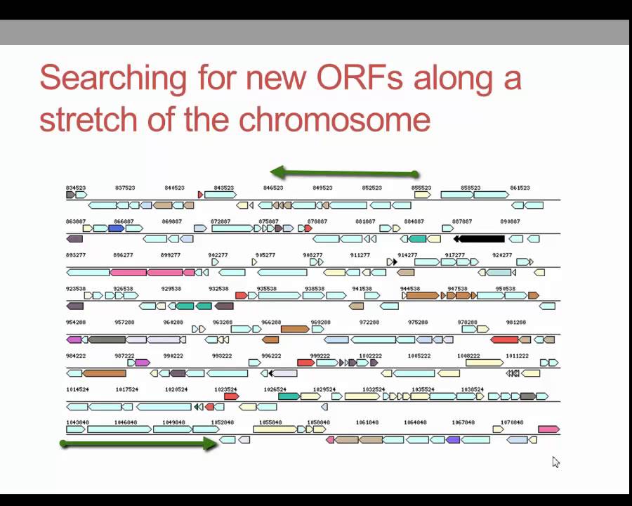 What is gene annotation?