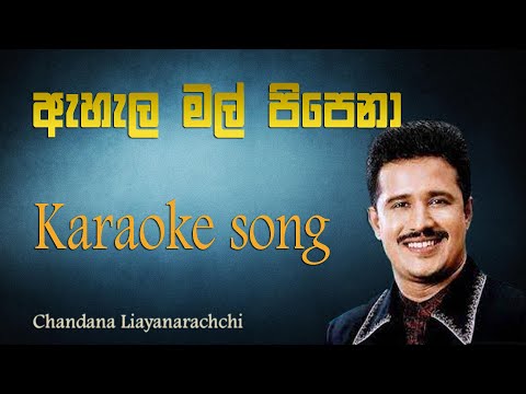 ahala mal pipena karaoke | without voice |with lyrics | Chandana Liyanaarachchi