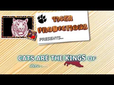 20 December 2017(21)