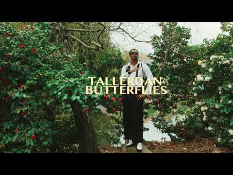 Taller Dan - Butterflies (Visualizer)
