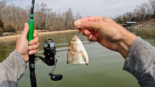 Shallow Water Drift Fishing for River Monsters